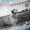 Jesienna Krajowa Wystawa Psów Rasowych – w sobotę, 4 października w Darłowie!