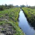 W Darłowie oczyszczono rowy melioracyjne