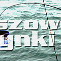 Darłowskie Dożynki Dorszowe – prawdziwe święto dla wędkarzy 